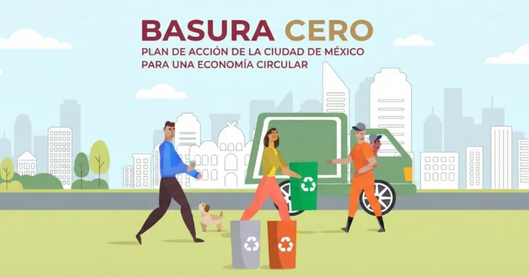 multas por no separar la basura cdmx 2026 como hacer composta casera con residuos organicos tiendas de productos a granel cerca de mi donde reciclar aceite de cocina usado cdmx que son los residuos de manejo especial ejemplos marcas mexicanas de cosmetica solida zero waste guia de separacion de residuos cdmx 2026 pdf beneficios de la economía circular para empresas